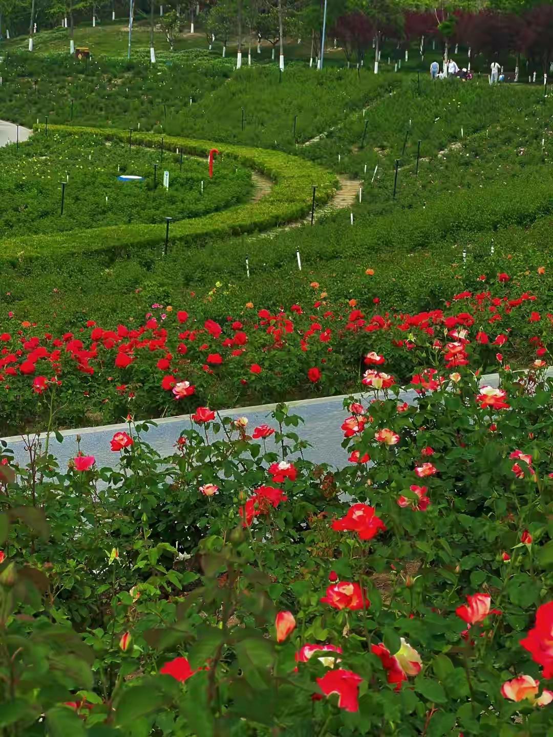 上联：桃花 梨花 茉莉花，花花皆世界；
下联：生菜 芹菜 油麦菜，菜菜为生活！