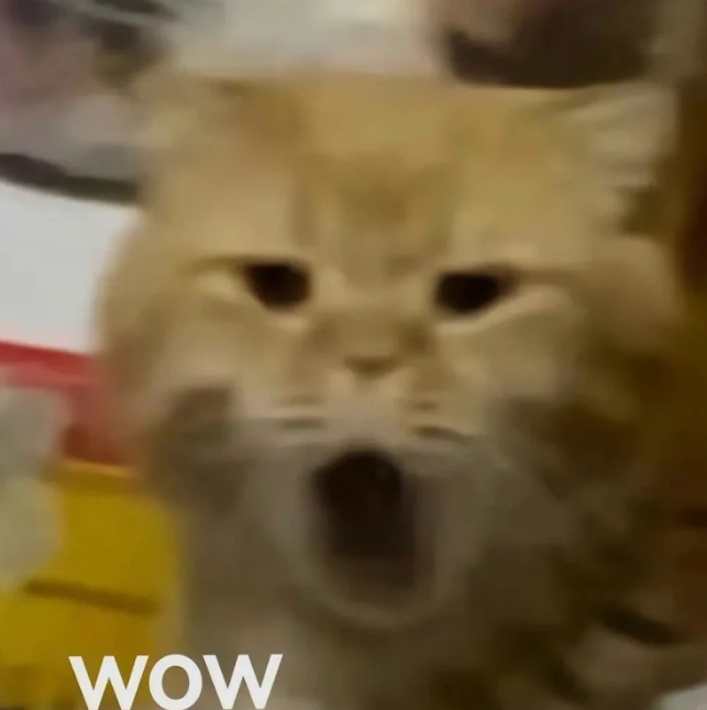 9键和26键突然停止了争吵 9键和26键还能有停止争辩谁更好用的那一天？ 