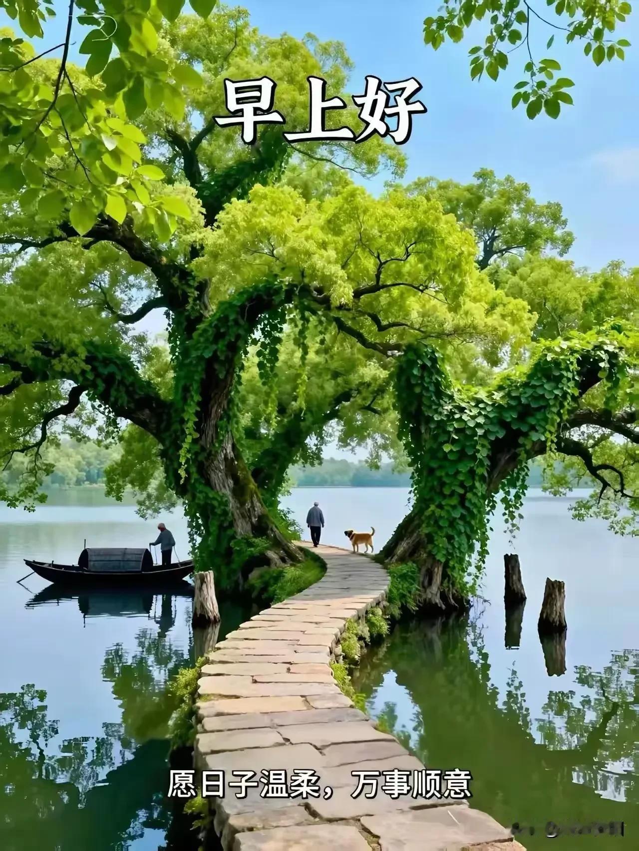 七律《伏夏闲吟》

骄阳似火灼长空，
蝉噪高枝热浪融。
暂借繁枝遮暑气，
闲寻幽