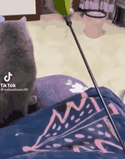 小猫咪的世界，没有误伤的，说好的单挑，成了被揍了
##
估计平常没少被揍