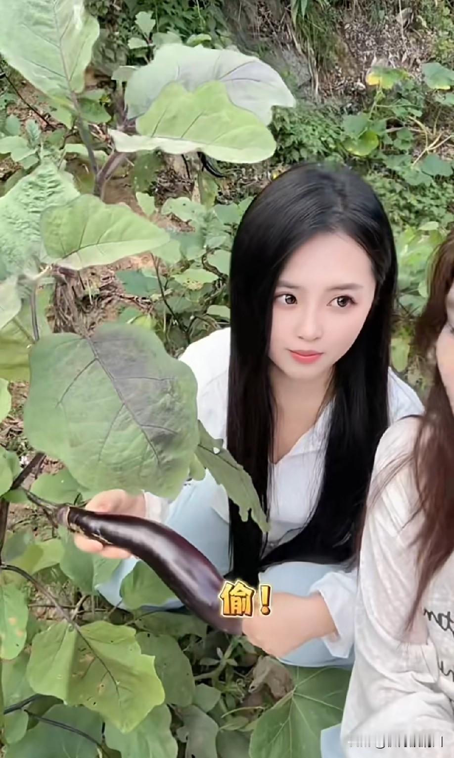 茄子不错[偷笑]