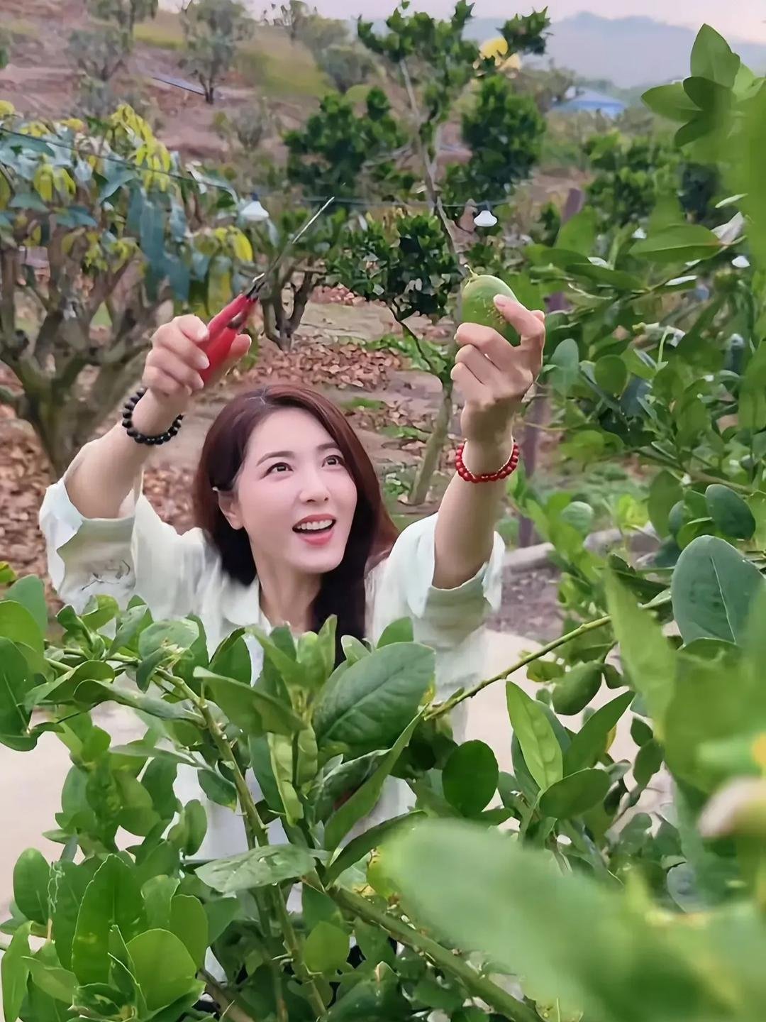 49岁的曾黎给所有女人都提了个醒。无论你长得多么漂亮，条件再好，该结婚的时候就结