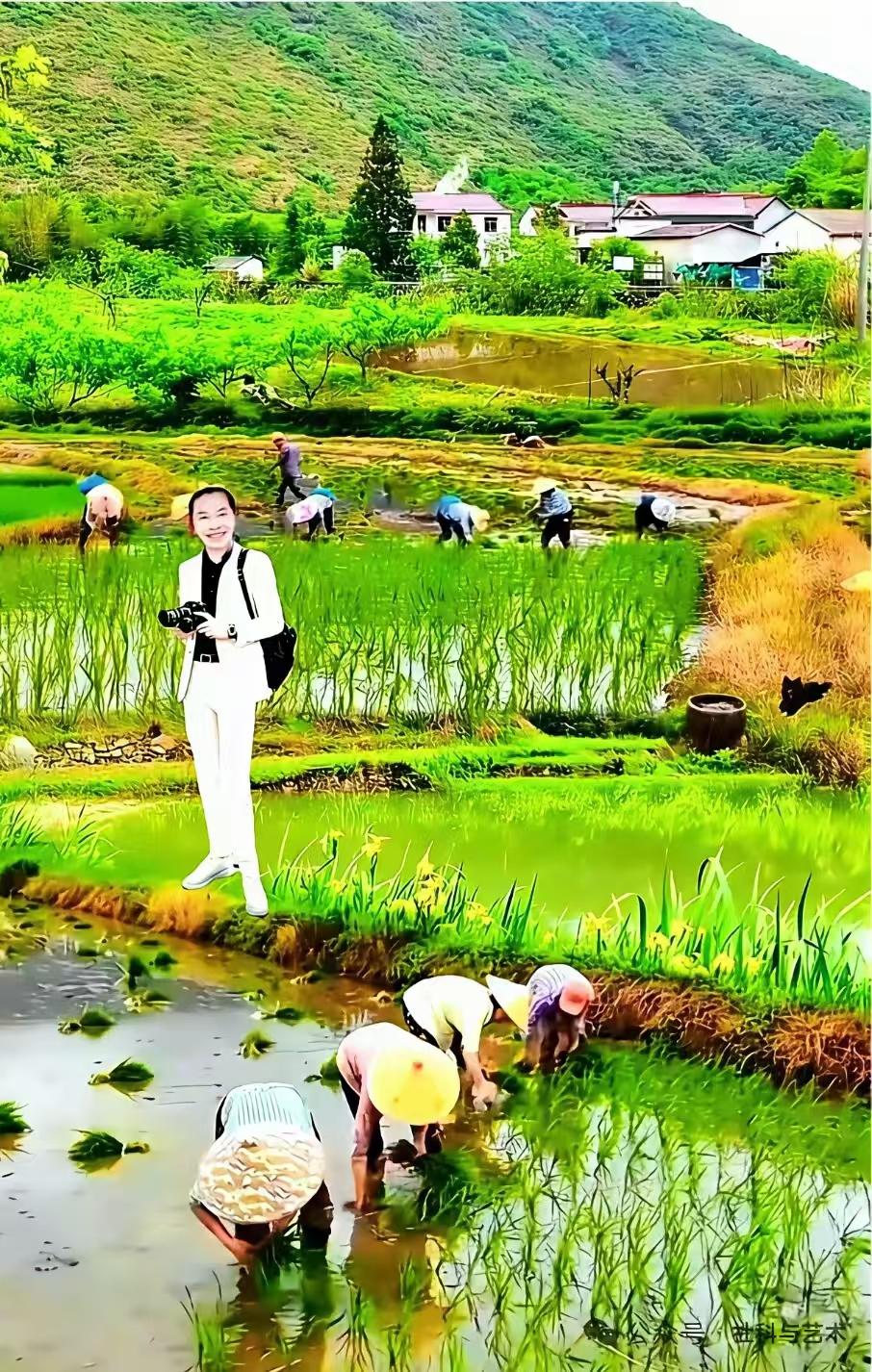 清江引.农事
春耕岁时农事忙，
野老躬耕栽禾秧。
佳人临陌上，
笑语风飘荡，
晴