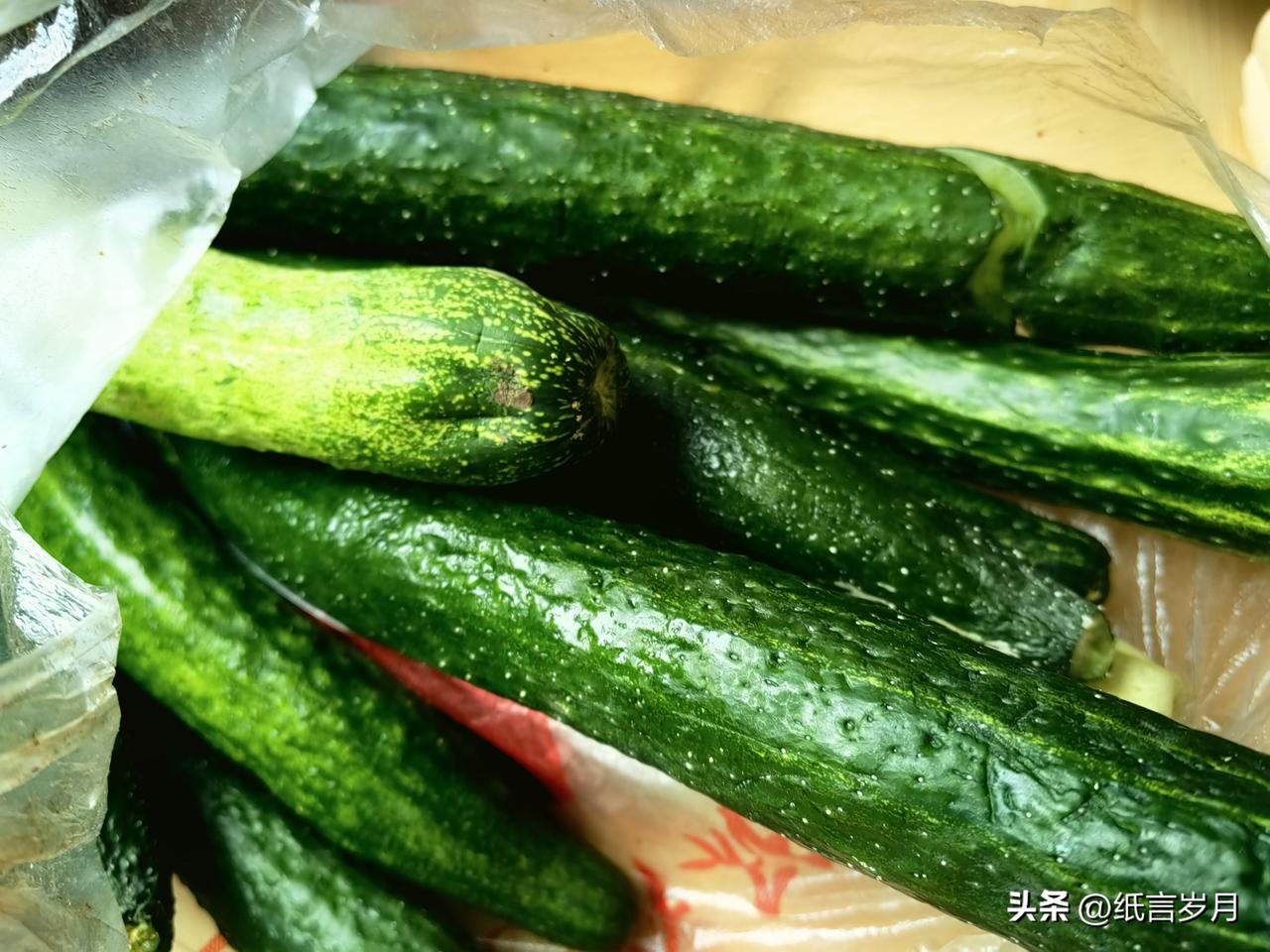 回来了，吃了碗豆花泡馍。出去一趟，厨房堆满了爱心菜菜。丰收啦，又丰收啦！

让我