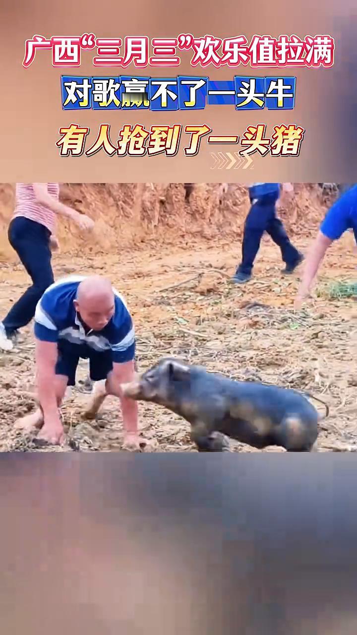 广西"三月三"欢乐值拉满，对歌赢不了一头牛。
4月18日，广西北流清湾镇。
智慧