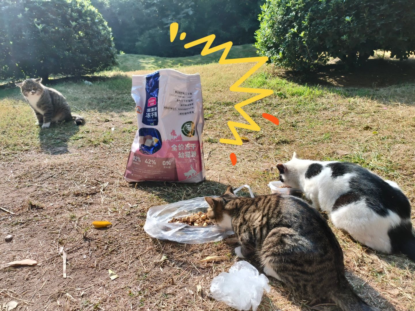 麦富迪，我们看透你了！