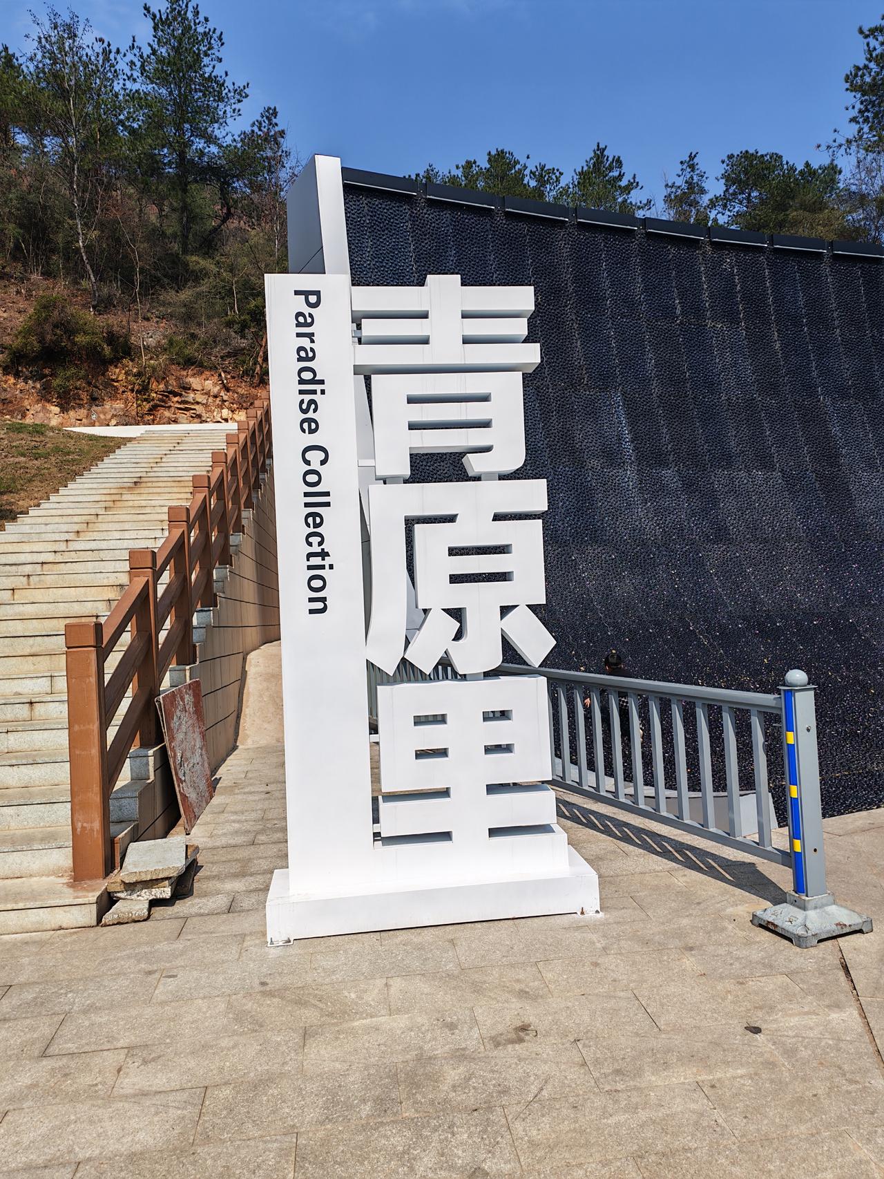 手机每天随手拍