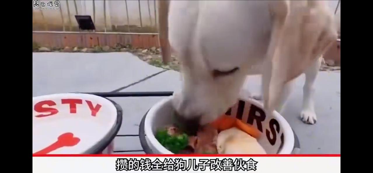 见过城市里的森林般的摩天大楼么？如此密集的人口，如此狭小的公共空间，无论是声音污