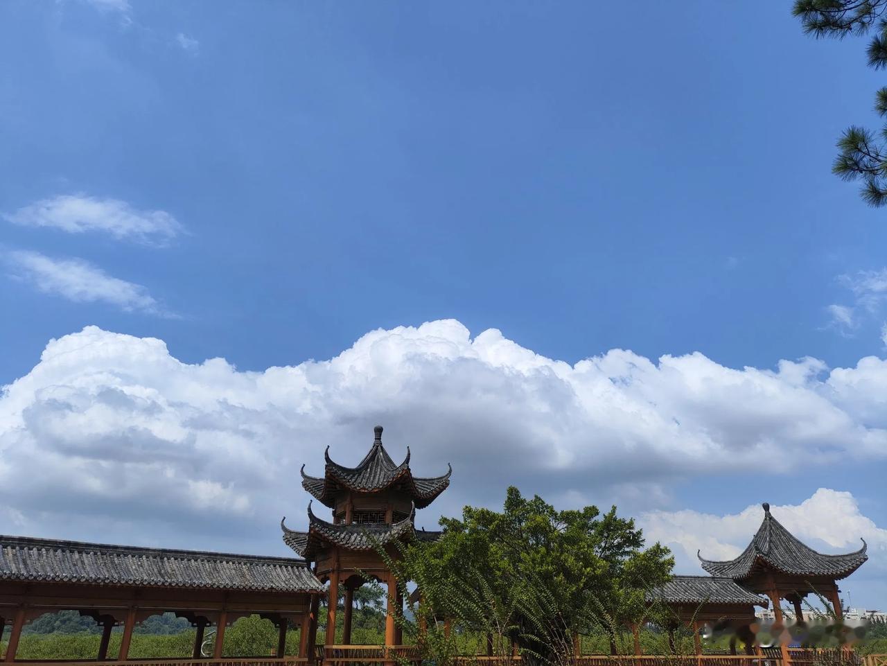 只可意会，不可言传。这八个字盘旋进脑海时，是在想分享书籍中觉得好的观点却不知如何