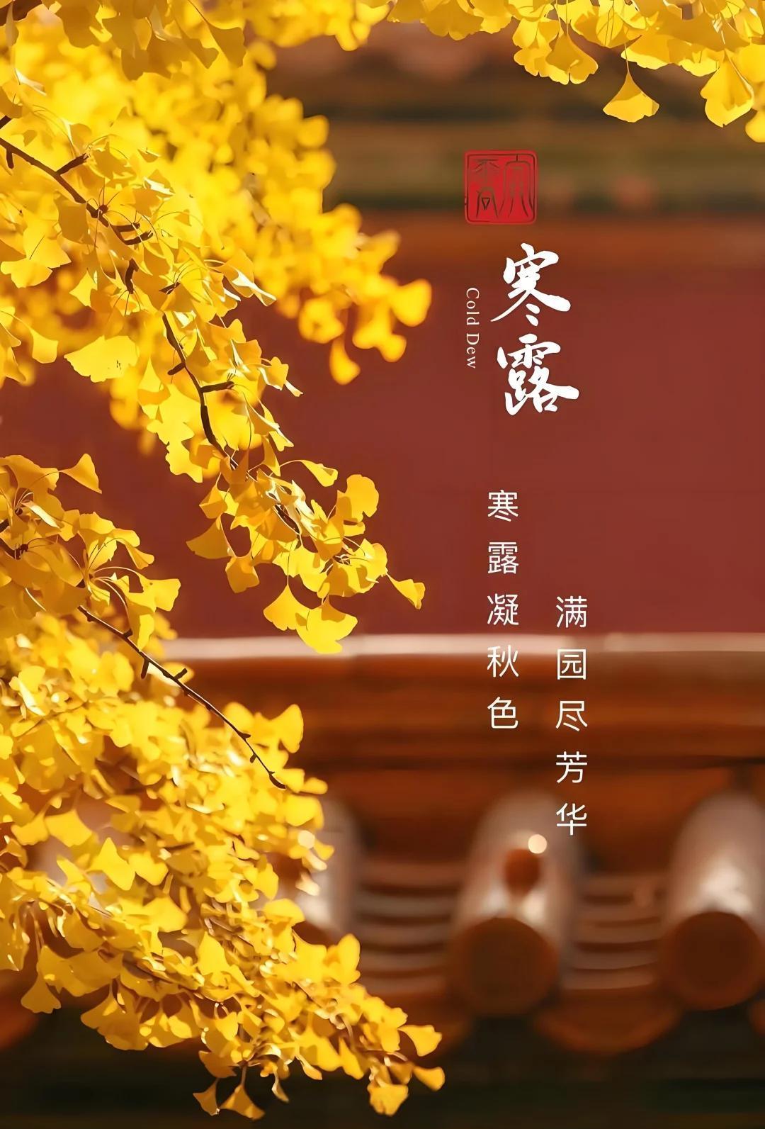 【明道周易☯运势日历】2026年10月8日 星期四八月廿八 14时29分 寒露 