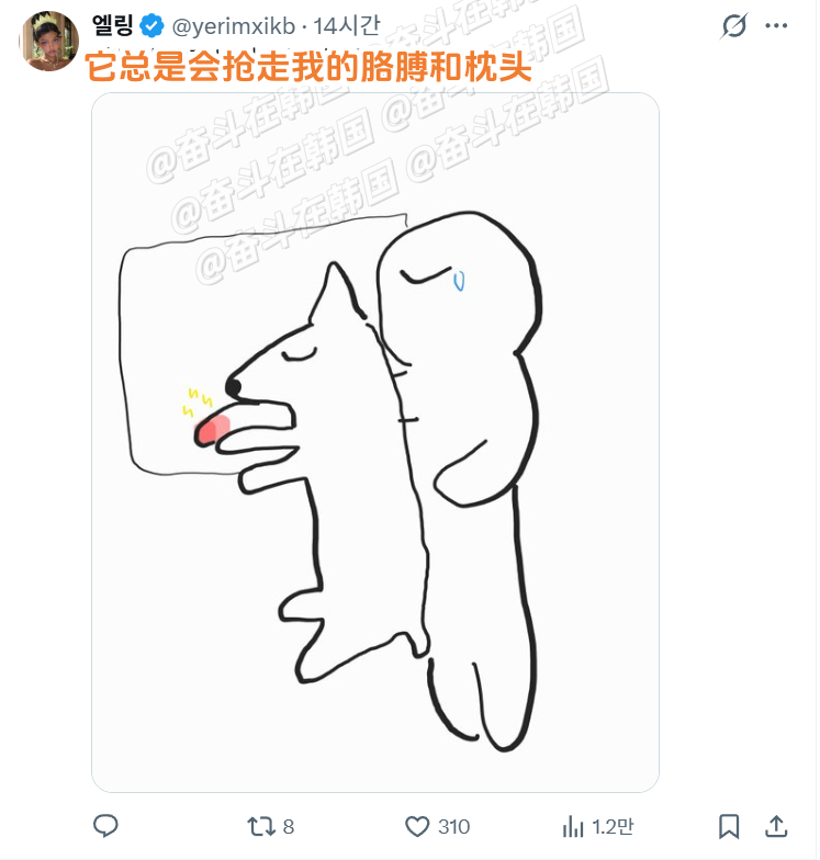 最近跟小狗一起睡觉的姿势 海外新鲜事 热点现场