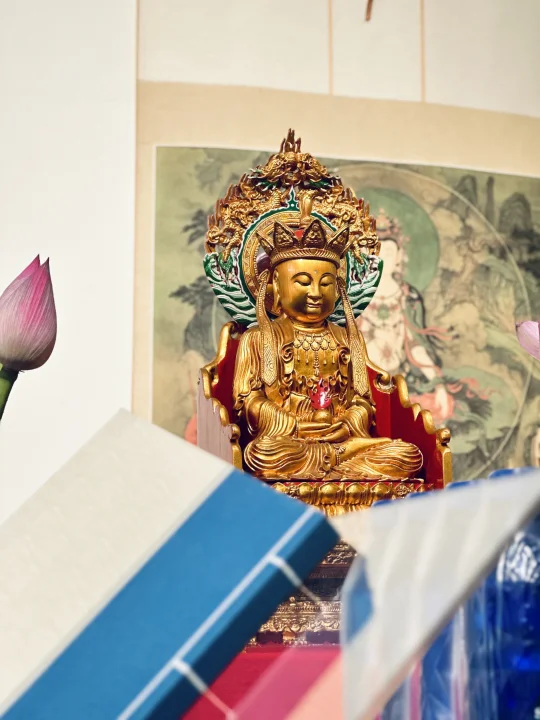 “愿我如同虚空和大地，永远支持一切无边众生的生命。” 	 从我看见这句...