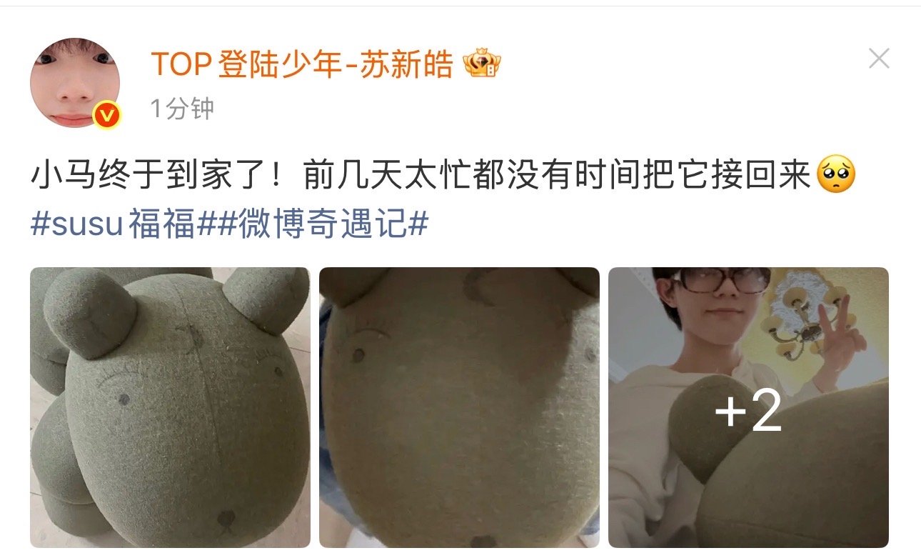 苏新皓把小马接回家哈哈哈哈哈过苏新皓的小马终于接回家了 