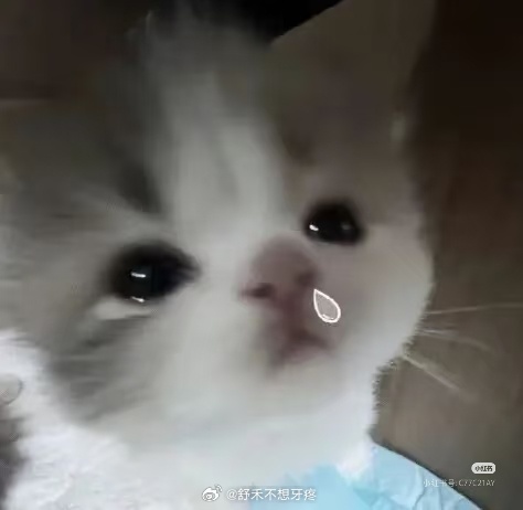 不知道是不是秋天来了，我总流鼻血 ​​​