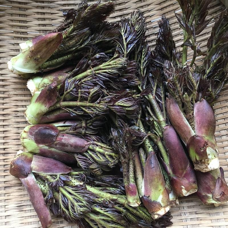 太诱人了！农村处处是“宝”，这几种野菜尽显春天的味道，全家都抢着吃。
春暖花开之