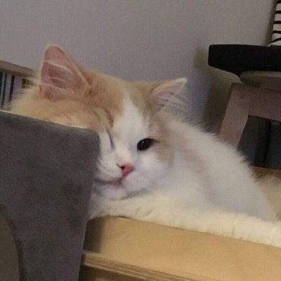 我每天的状态belike： ​​​