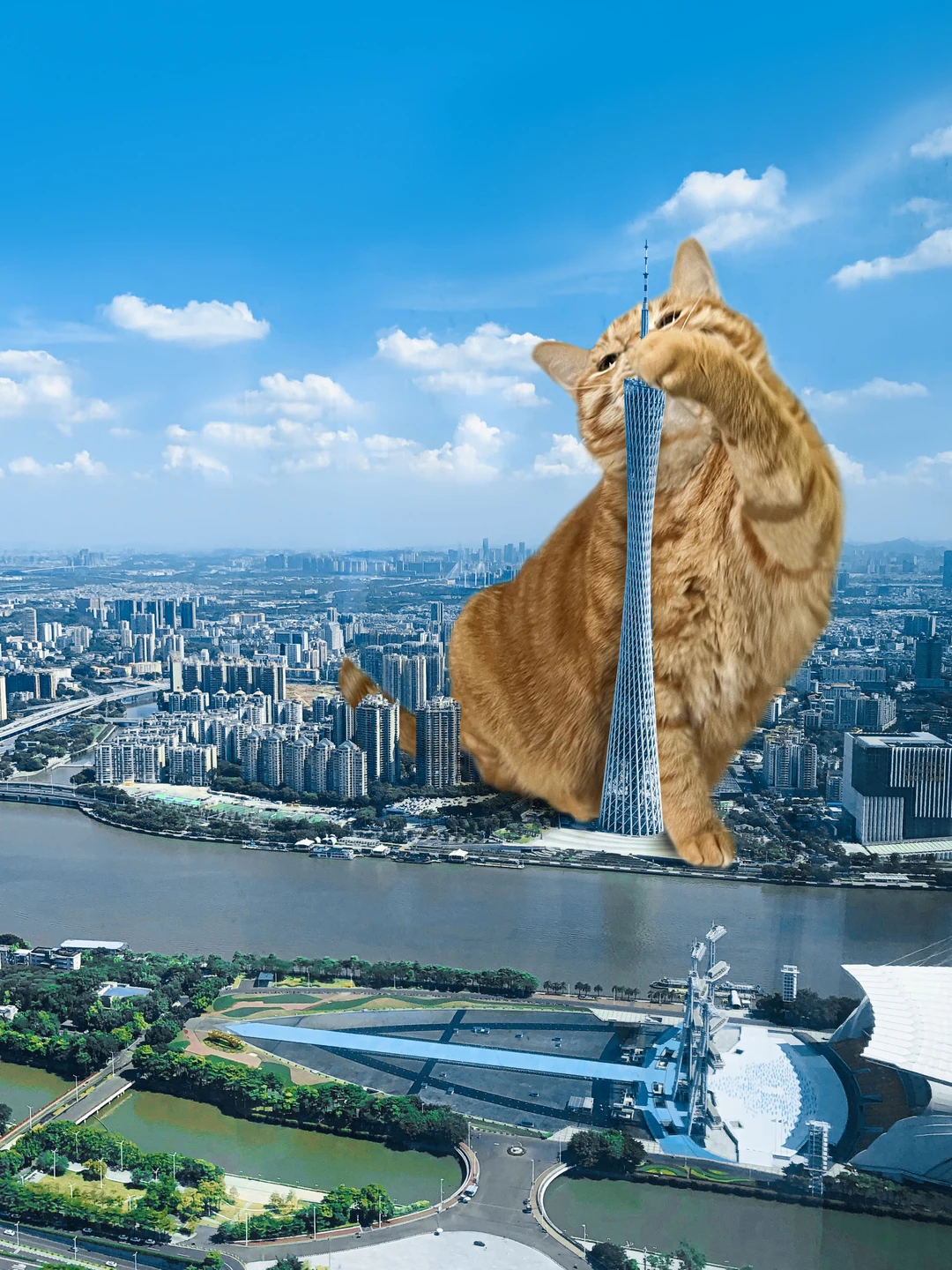 广州，好久不见啦