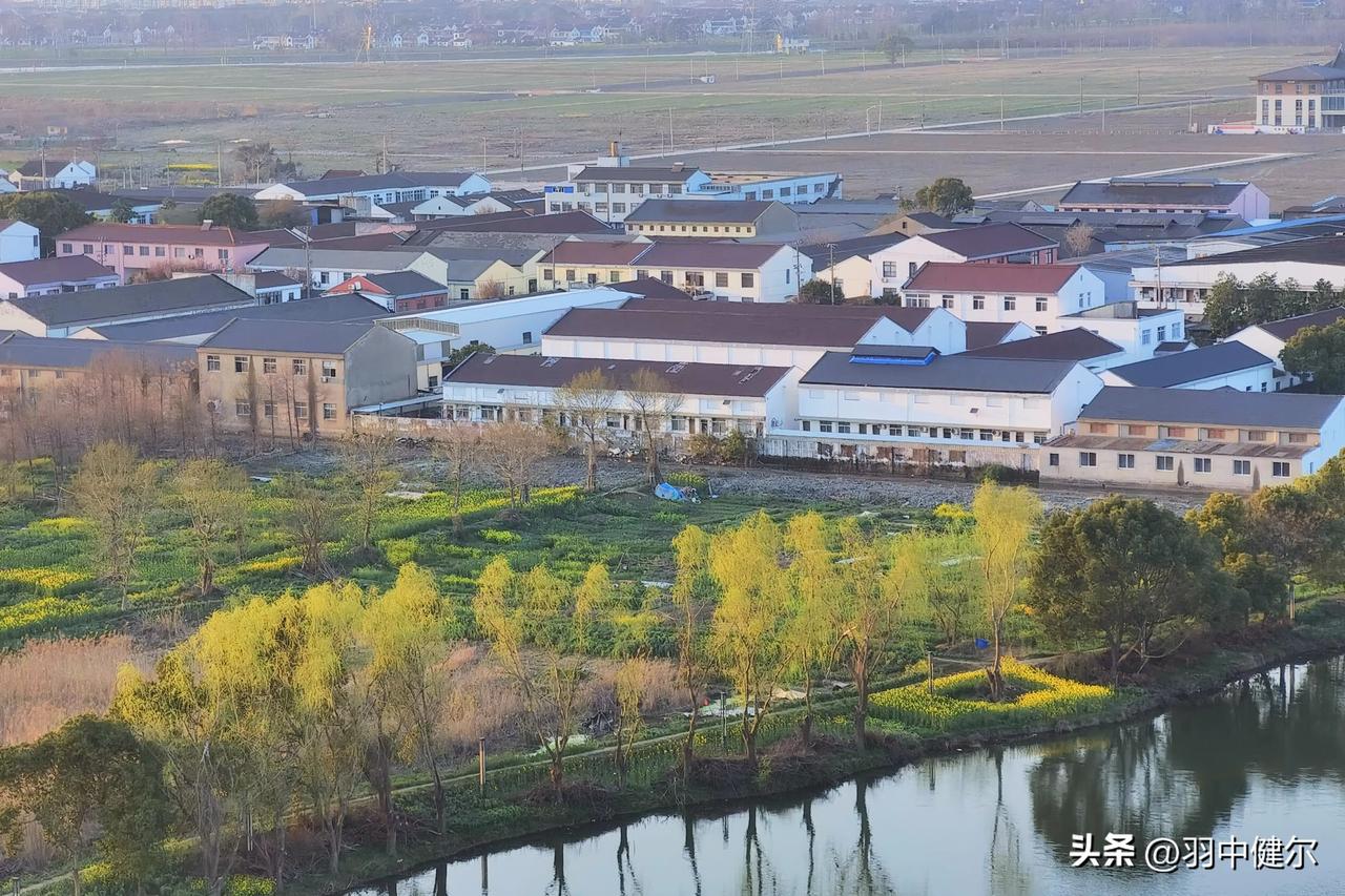 《苏幕遮·水乡春景》

柳含烟，波漾翠。
村舍排排，秀色连天际。
桥卧清涟如练缀
