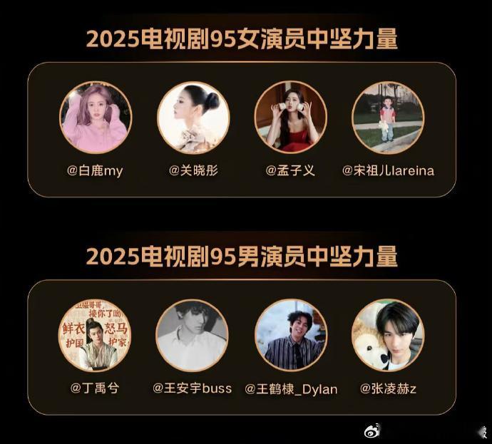 95演员中坚力量丁禹兮王安宇王鹤棣张凌赫男演员中坚力量从流量到实力的蜕变，四人以