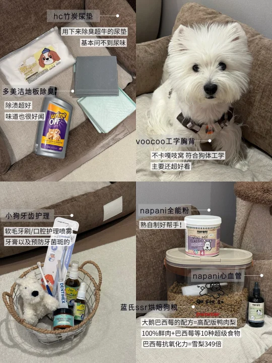 养狗5年｜一些大促期间会疯狂回购的好物（2）