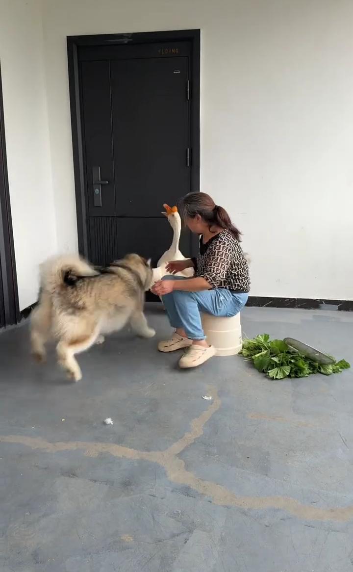 他突然袭击了，偷袭。
