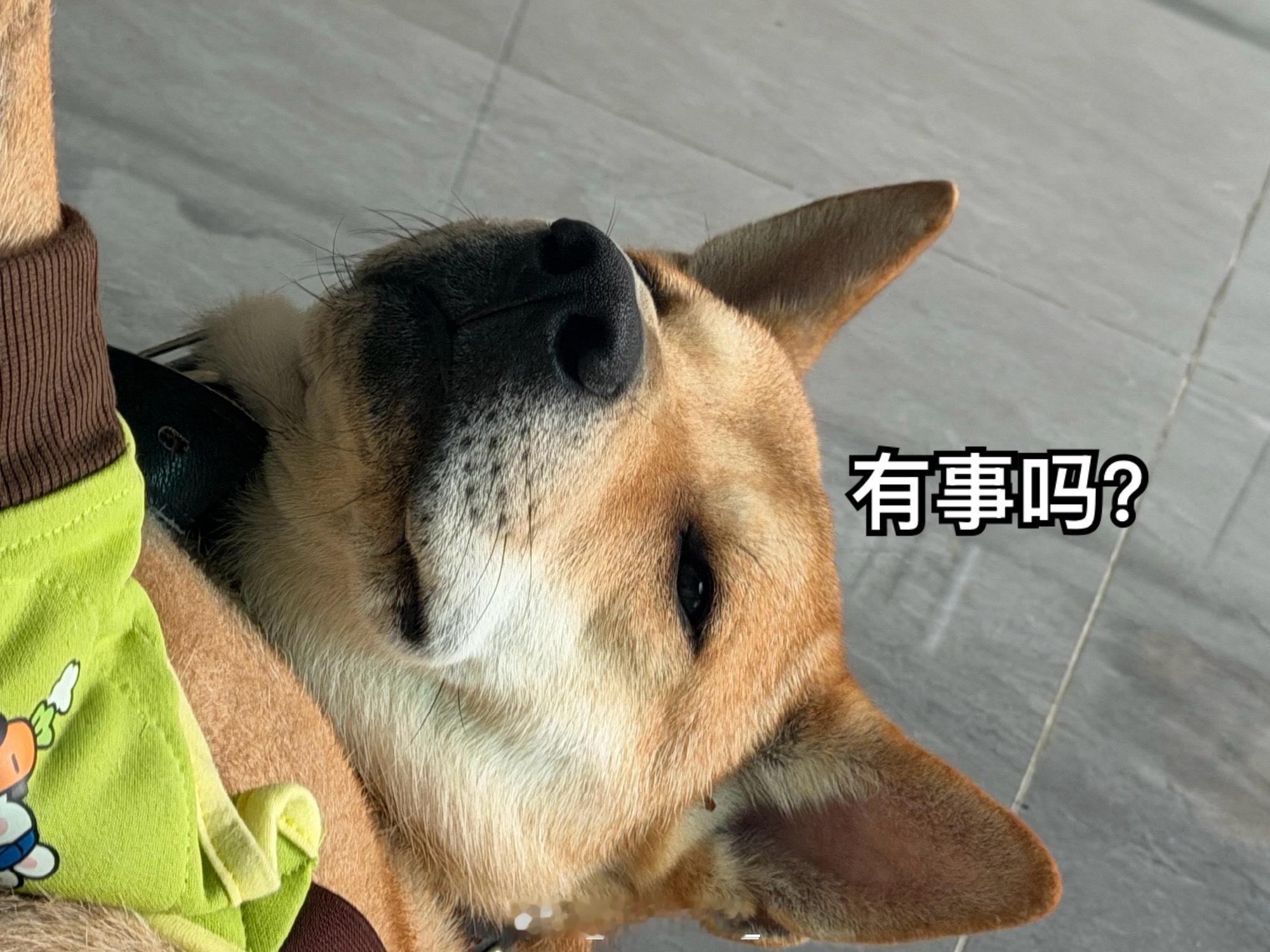 嘻嘻不嘻嘻 ​​​
