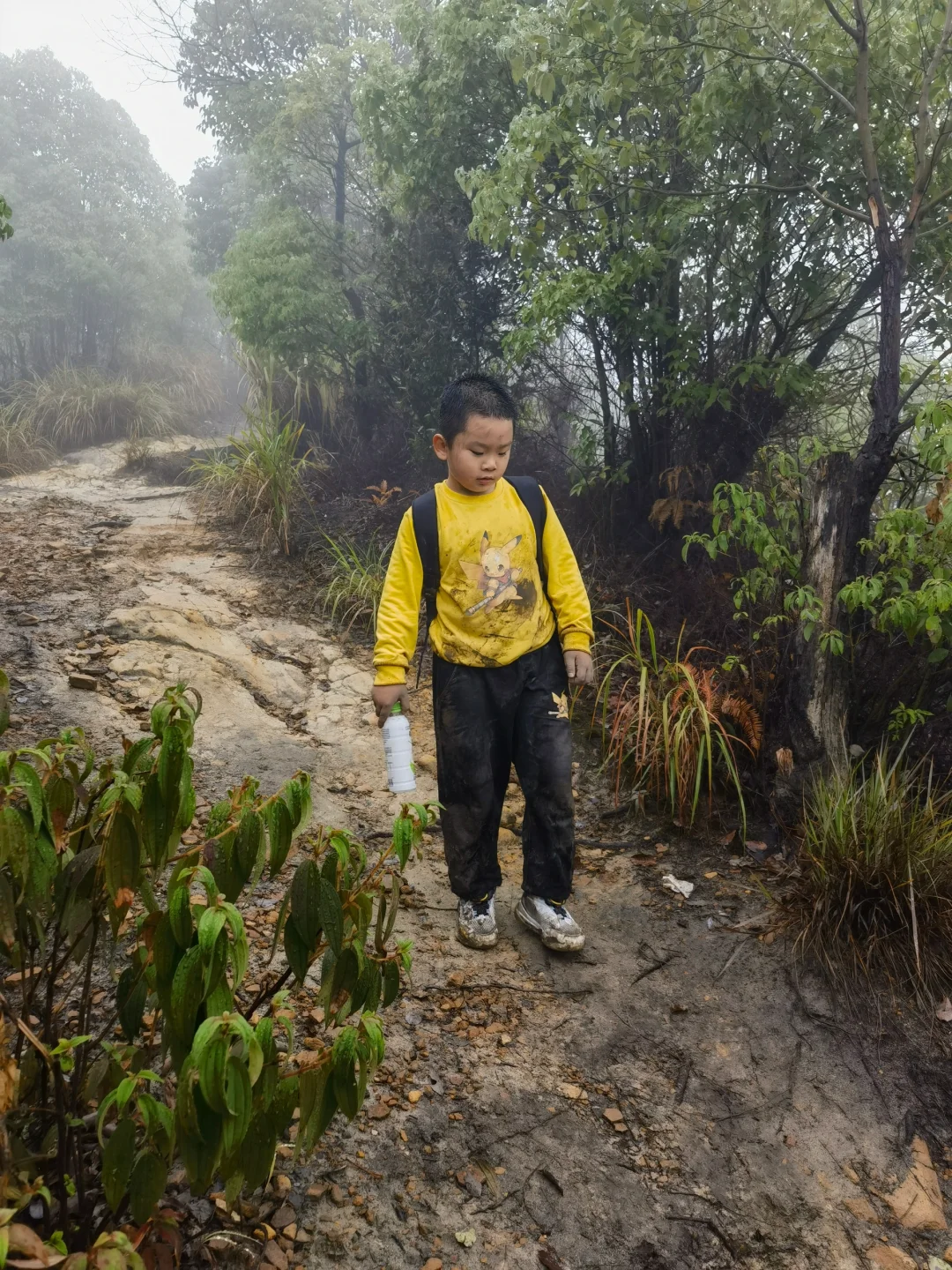 公益第N期｜歌乐山火烧山沉浸式亲子雨徒