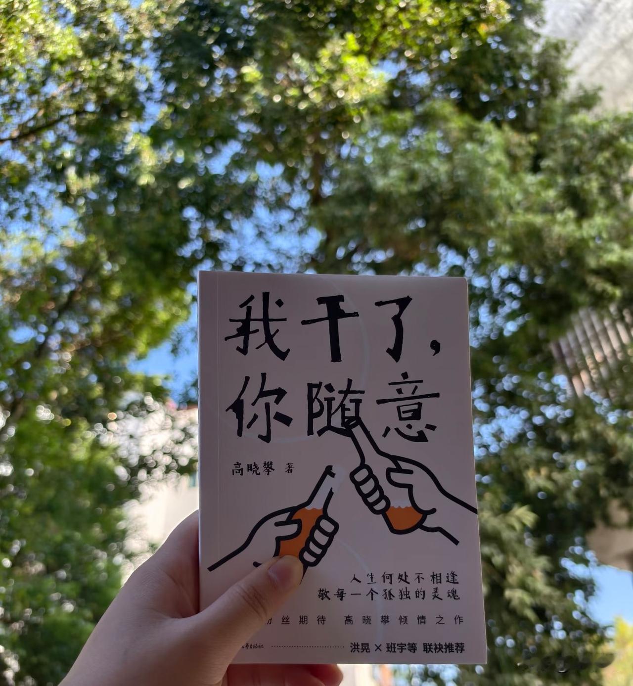 昨天去看了高晓攀脱口秀，不得不提他的三本书，他最近出的三本书分别是：《换“胃”思