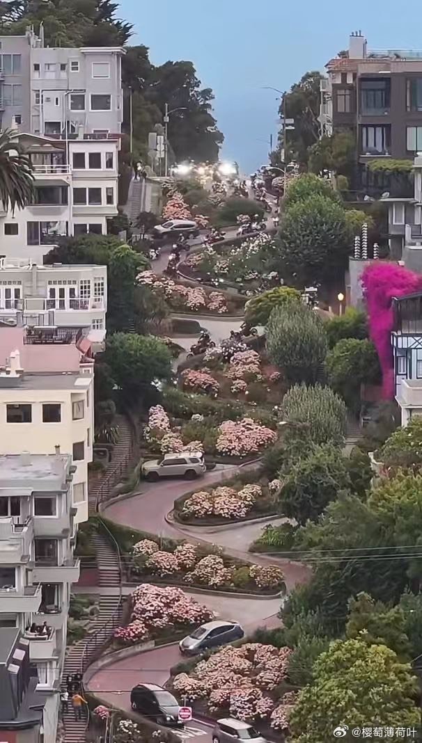 加州一号公路怎么开最解压带后轮转向的车走九曲花街多丝滑 远赴旧金山怎能不开一次九