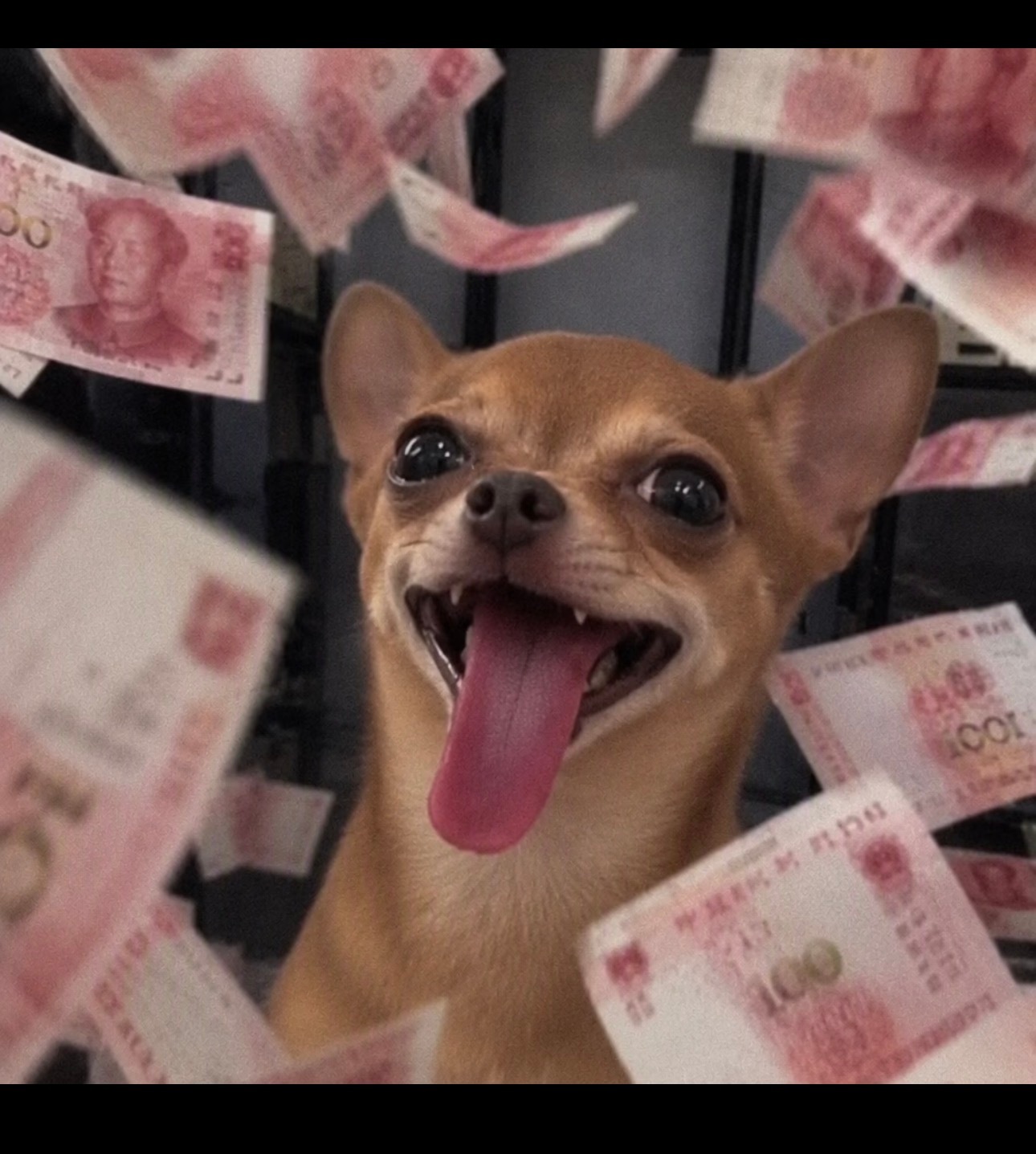 中秋节快乐！不用写论文的除外！我羡慕你们所以祝福暂扣俩小时！ ​​​