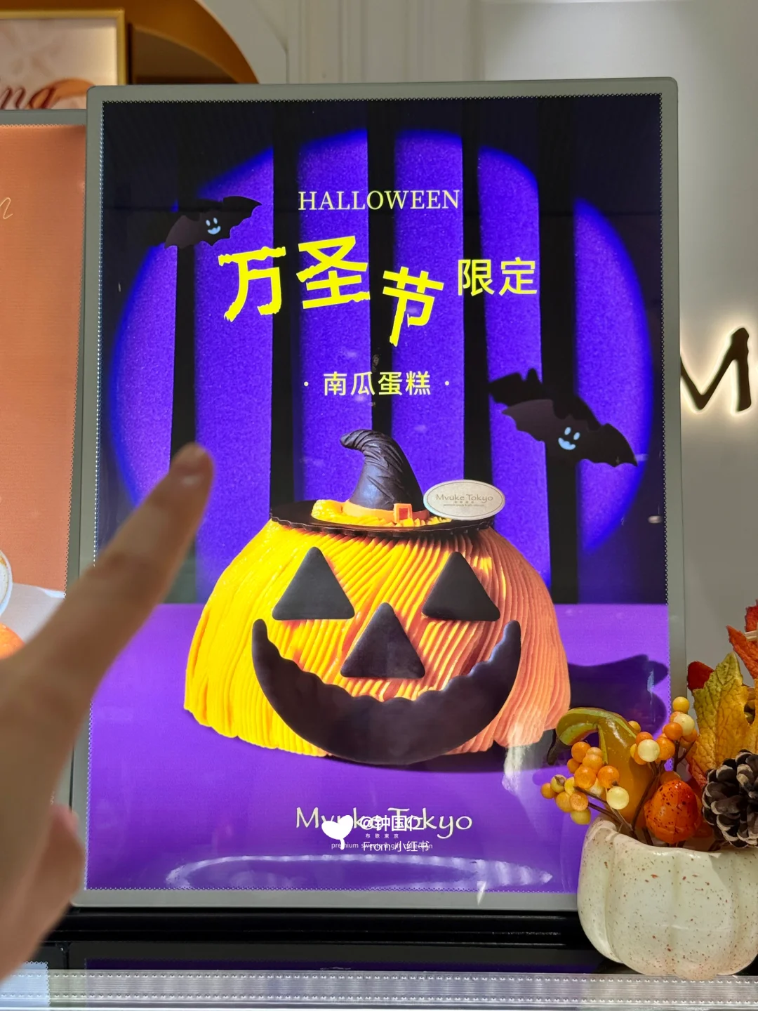 广州终于也有了！！！