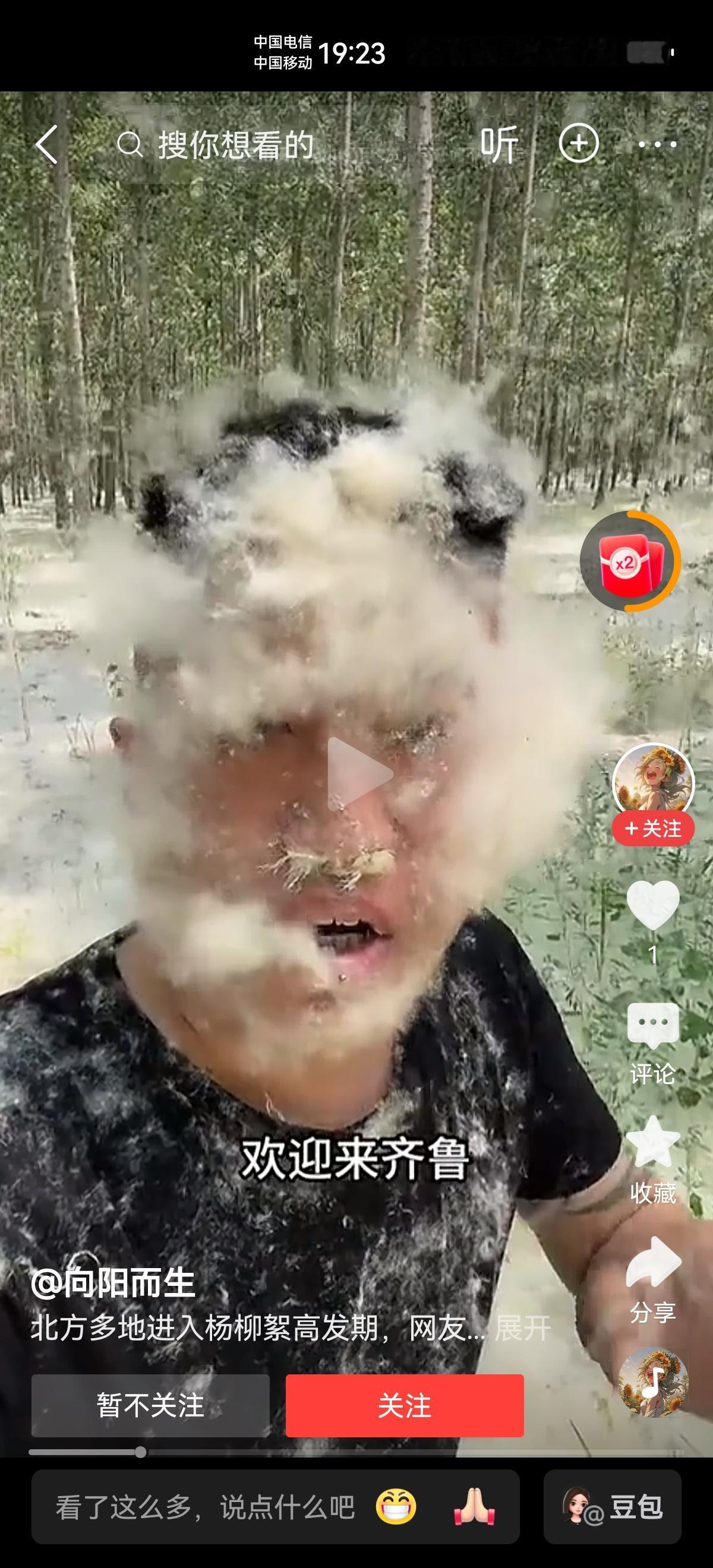 一看到此图片，第一反应是，金毛狮王，
再一细看，哇，这么多杨絮？
想起了十年前，