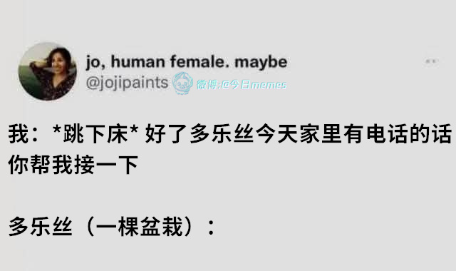 木问题呀（jojipaints）今日meme[超话] 今日memes ​​​