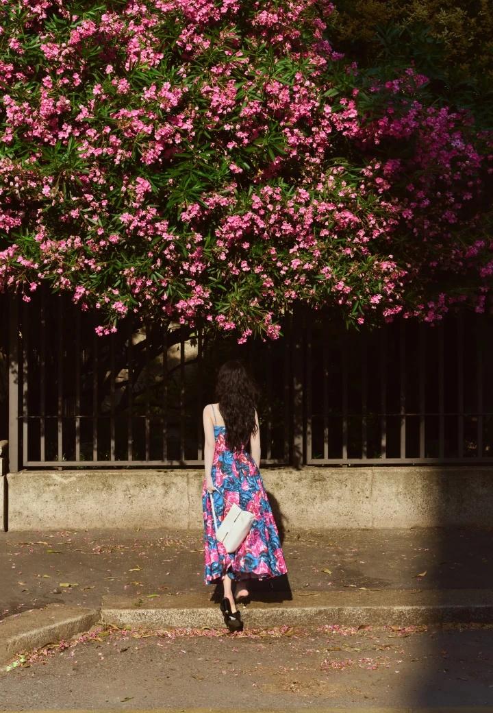 亲爱的杨紫 ，希望你永远走花路[心][心]