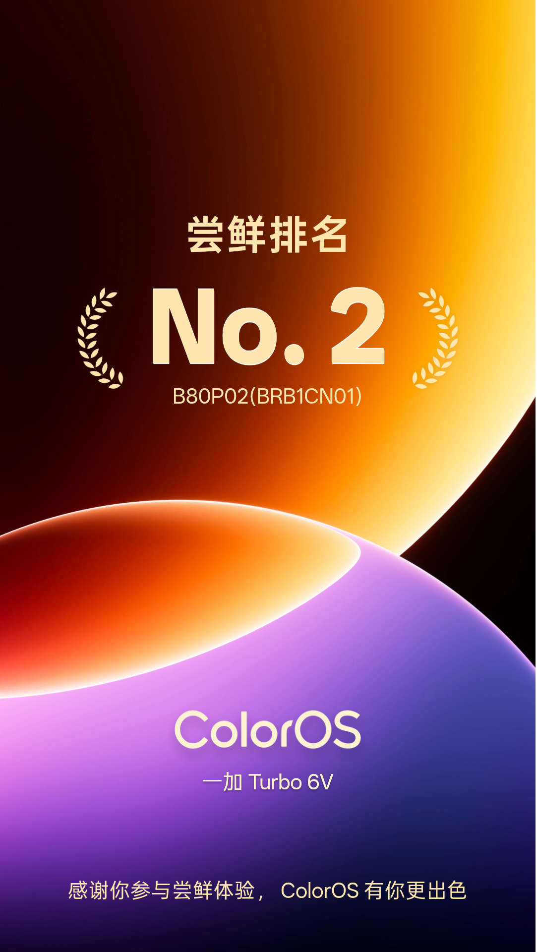 好家伙，No.2