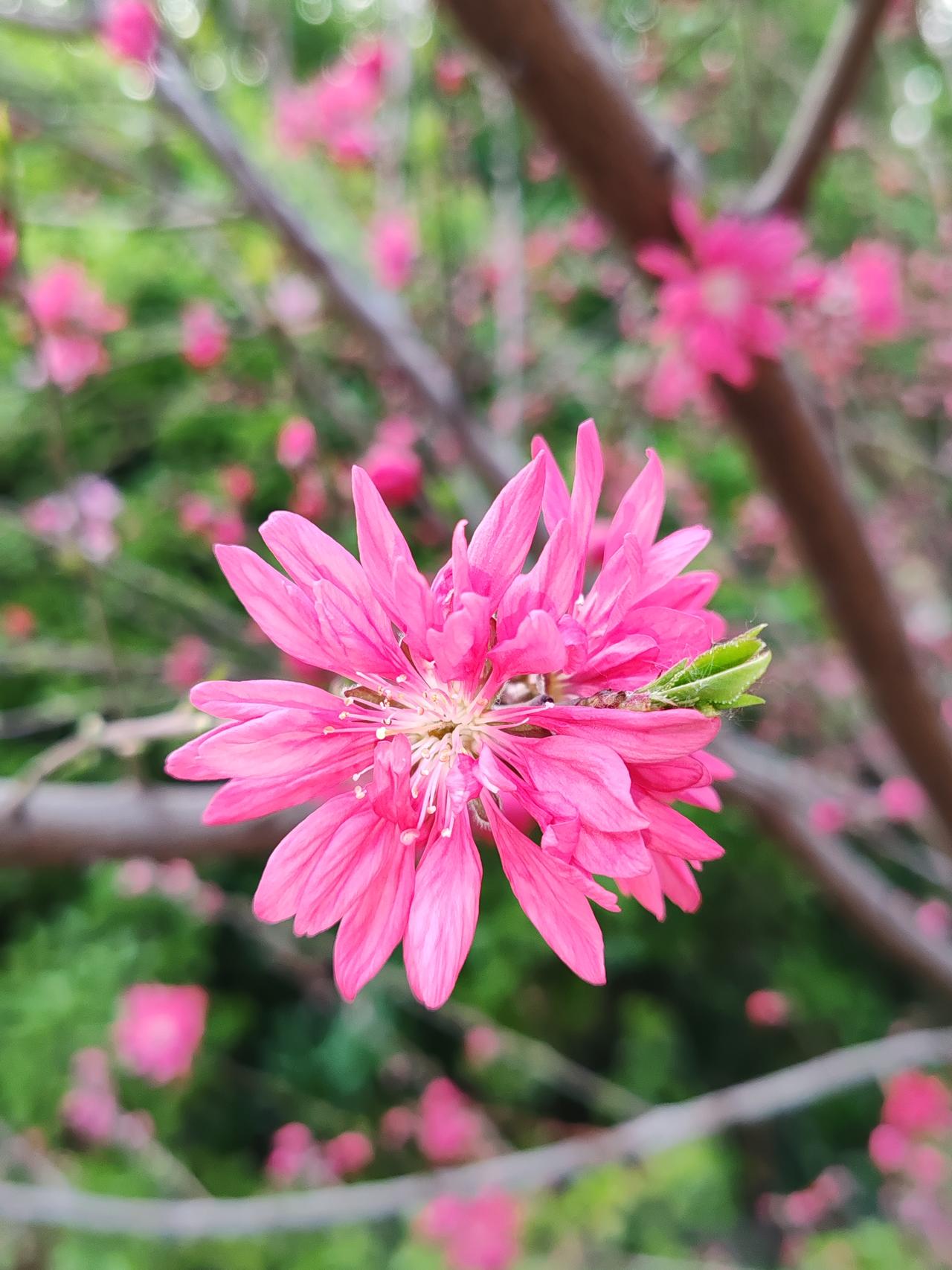 礼上往来，不能坏了规矩。人家随500元的，回头还有事能收回来，你不是说你没事了吗