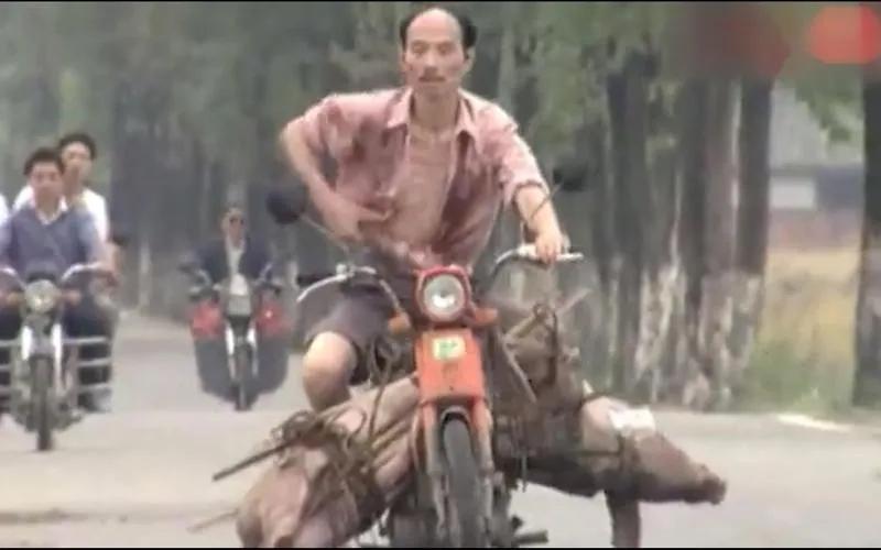 [太阳]1979年妻子因为李伯清穷而离婚，小儿子判给了前妻，大儿子跟了他。
 
