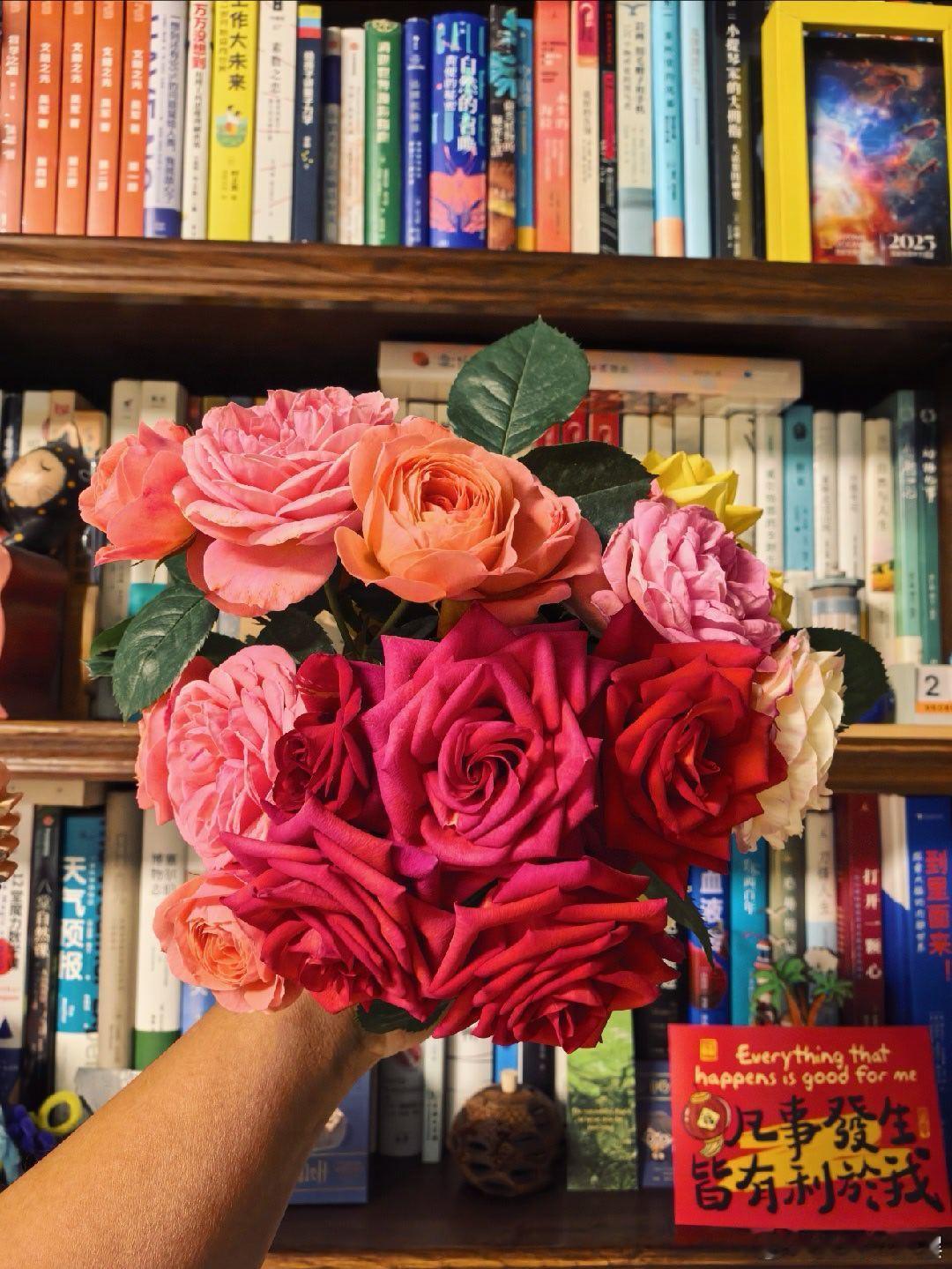 春天开始，隔三差五回家浇下花，每次都能收获一大把花。虽然它们被疏于照看，也生病耷