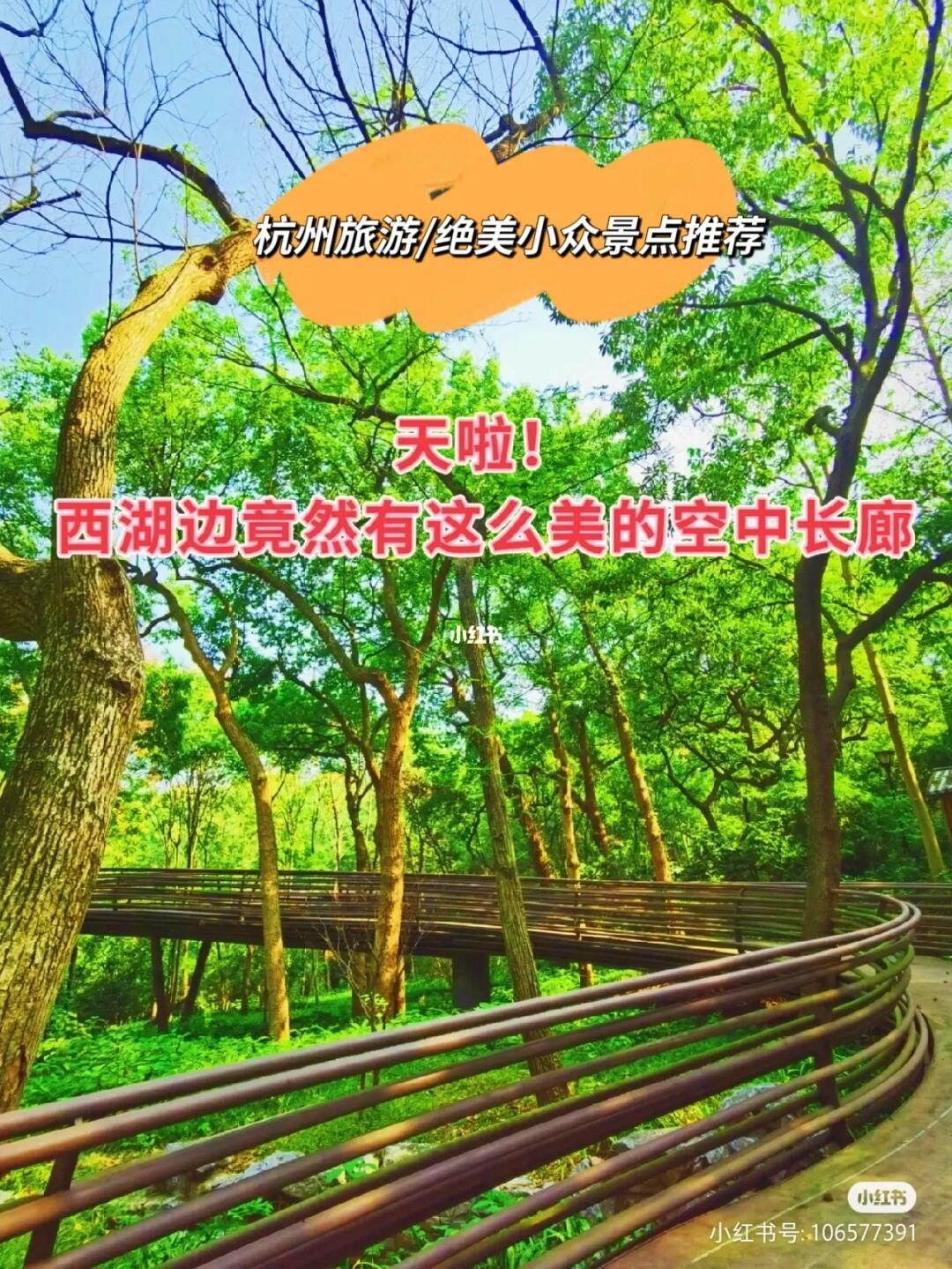 杭州旅游/强烈推荐西湖边的小众秘境