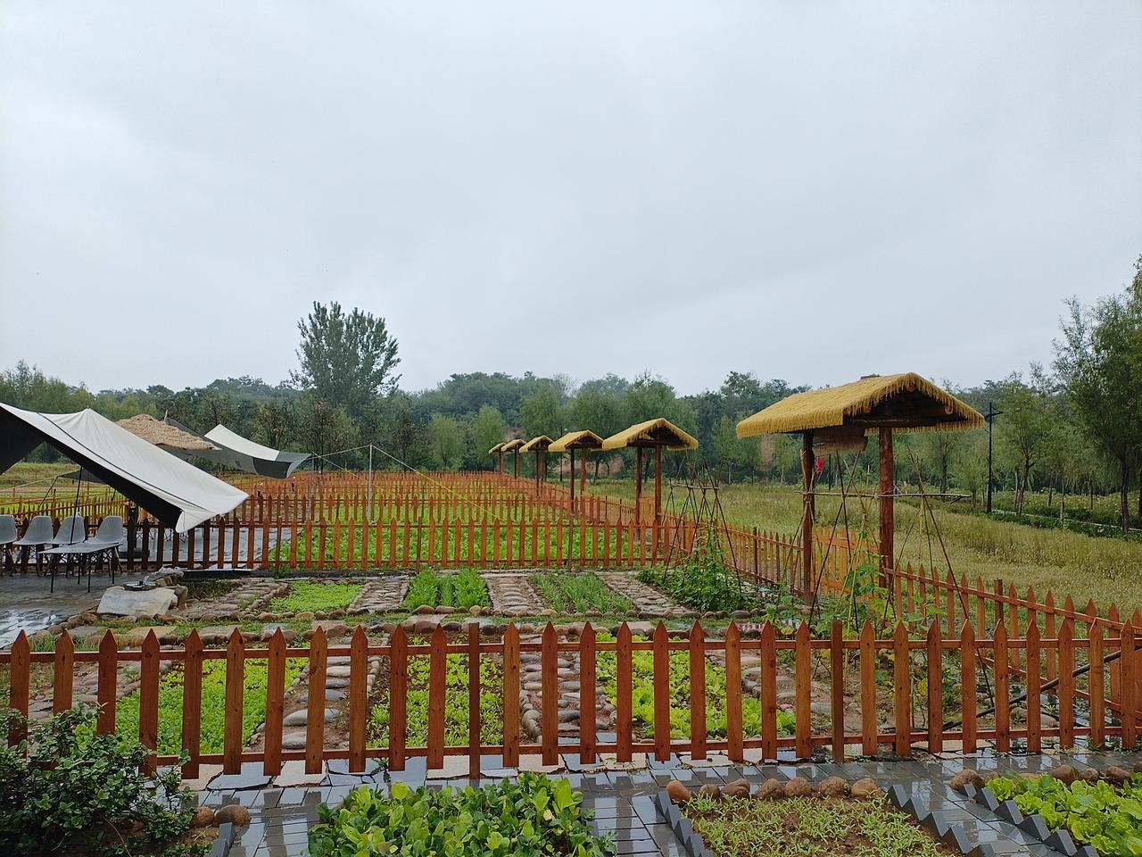 下联：篱墙茅舍秋色浓。

（图片来自网络）