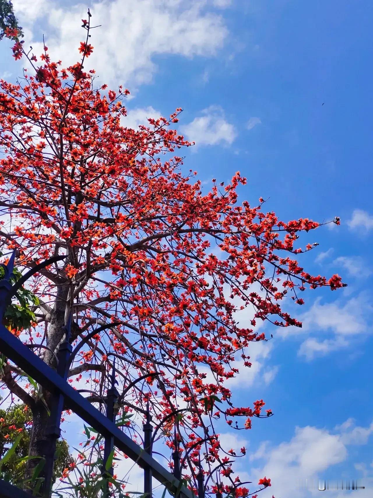 天有“三宝”：日、月、星；
人有“三宝”：精、气、神！
  分享图片美景
户外特