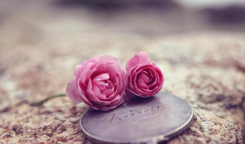 人一定要有翻篇的能力
不依不饶就是画地为牢
翻篇是为了把心腾出来
让全新的自己住