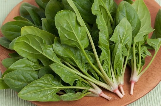 6种越吃越瘦的刮油蔬菜以下6种刮油蔬菜低卡高纤还能促代谢，越吃越瘦超实用：芹菜热