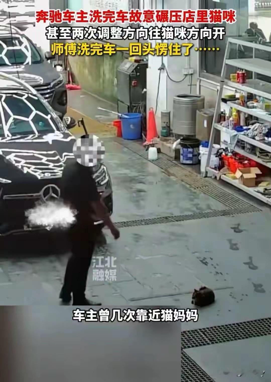 广东佛山一洗车店内，奔驰车主洗好了车，离开时精准地对着趴在地上晒太阳的猫咪碾压了