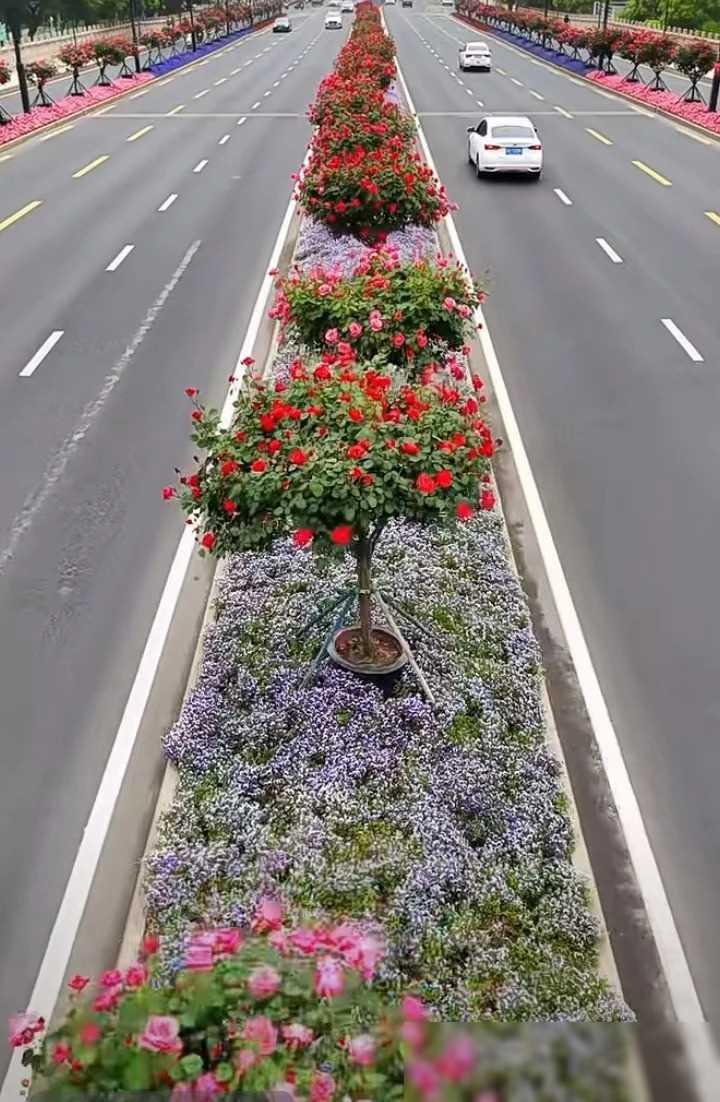题目：《苏州与淄博：城市印象》
苏州和淄博，两座地级市，各自展现着不同的风采和追