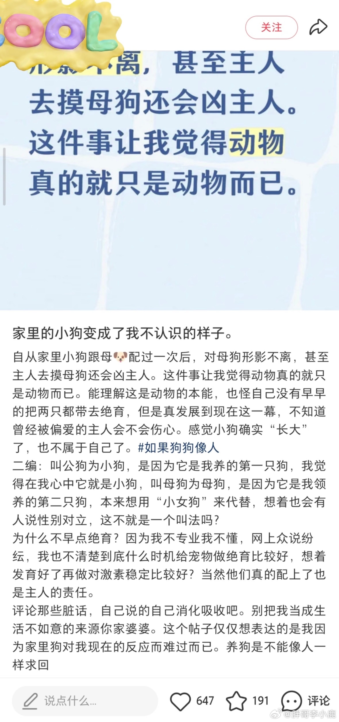 民间艺术观察