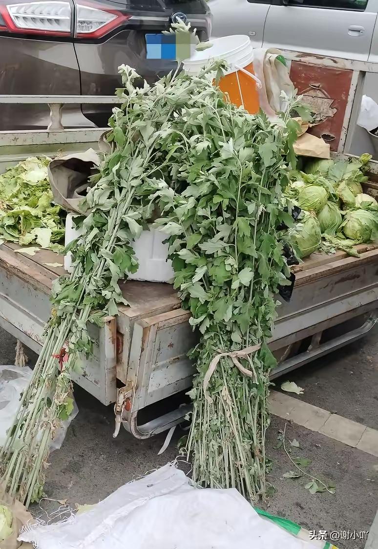 距离端午只剩3天，逛菜市场时偶遇售卖的艾草，瞬间有了浓浓的节日氛围。

眼下艾草