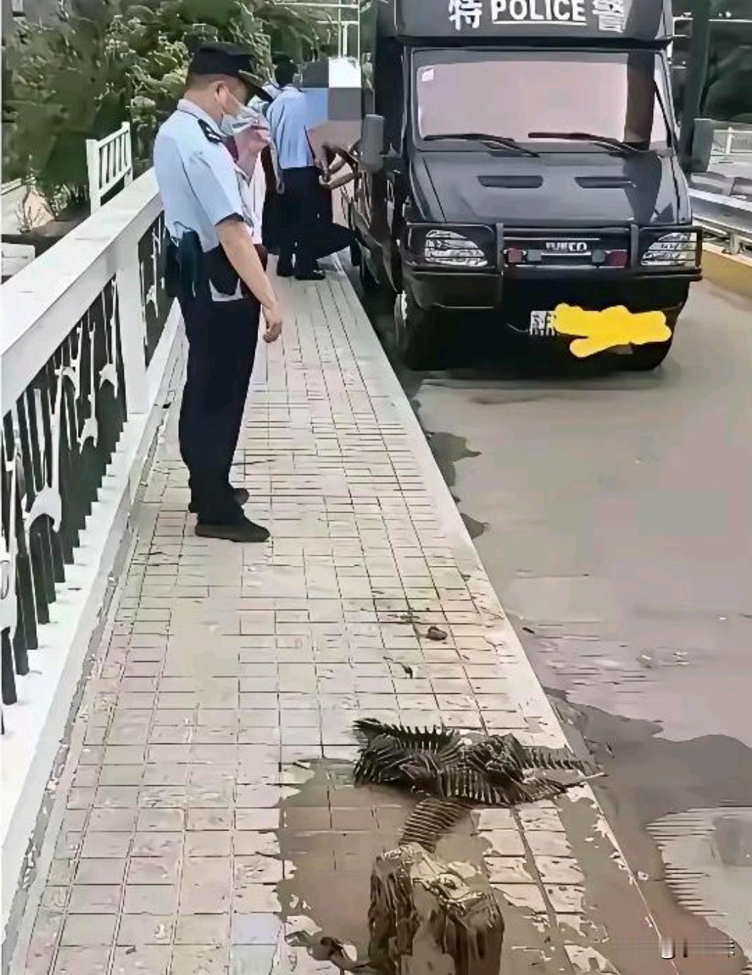 钓鱼佬除了钓不到鱼，什么都钓得到