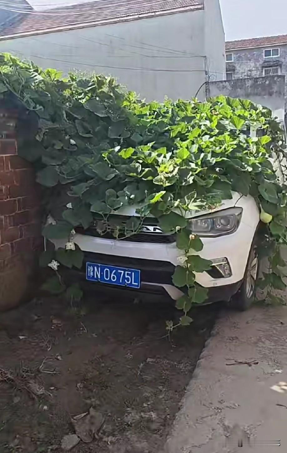 这车是放了多久？[捂脸]