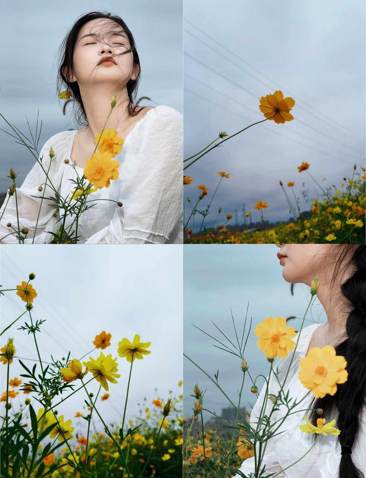 9.2｜合肥滨湖会展中心漫山花海实况🌼
滨湖这片藏在城市边的漫山花海阴天也自带